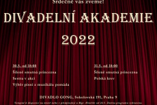 Divadelní akademie