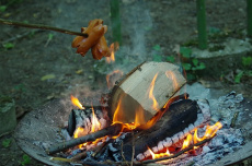 Českolipský táborák