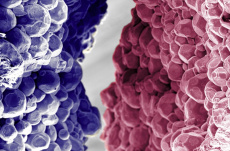 Fotosoutěž FZU za rok 2025