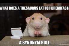 Česká lingvistická olympiáda